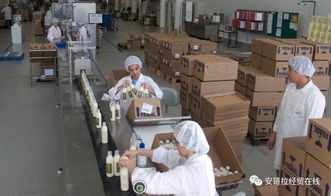 投資1000萬美元的化妝品加工廠在安開業(yè)，引領(lǐng)本土美妝產(chǎn)業(yè)新格局