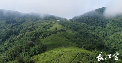 十堰市一季度項(xiàng)目拉練暨3月份重大項(xiàng)目集中開(kāi)工活動(dòng)舉行 推動(dòng)精制茶產(chǎn)業(yè)高質(zhì)量發(fā)展