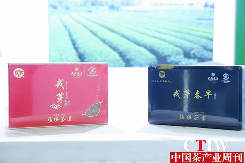 聚焦茶博會(huì) 第12屆四川國(guó)際茶博會(huì)品香茗賞雅器如火如荼，精制茶引領(lǐng)新風(fēng)尚